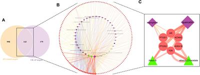 Elucidating the anti-hypertensive mechanisms of Uncaria rhynchophylla-Alisma plantago-aquatica L: an integrated network pharmacology, cluster analysis, and molecular docking approach